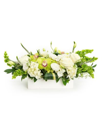 Meadow White