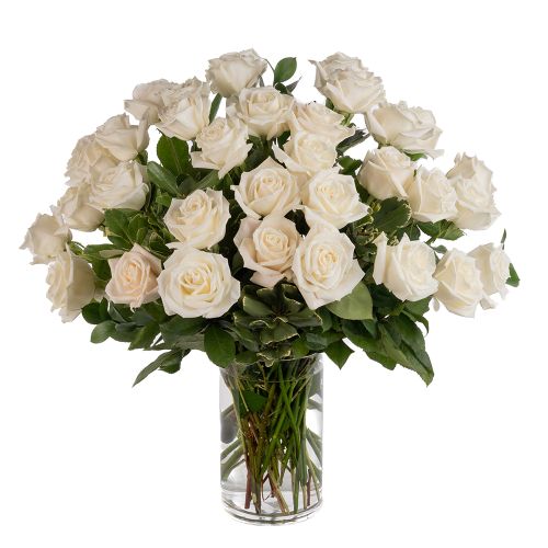 Three Dozen White Roses 