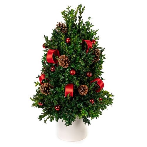 Boxwood Holiday Tree